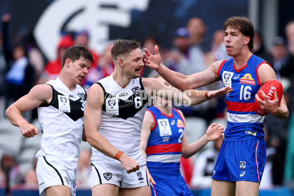 VFL 2025 Grand Final - Footscray Bulldogs v Southport - A-62997487