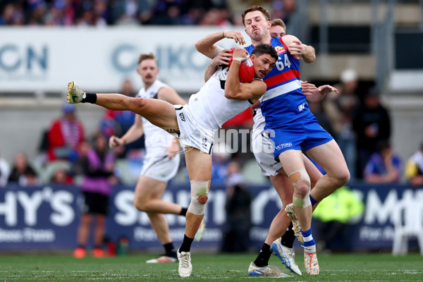 VFL 2025 Grand Final - Footscray Bulldogs v Southport - A-62997494