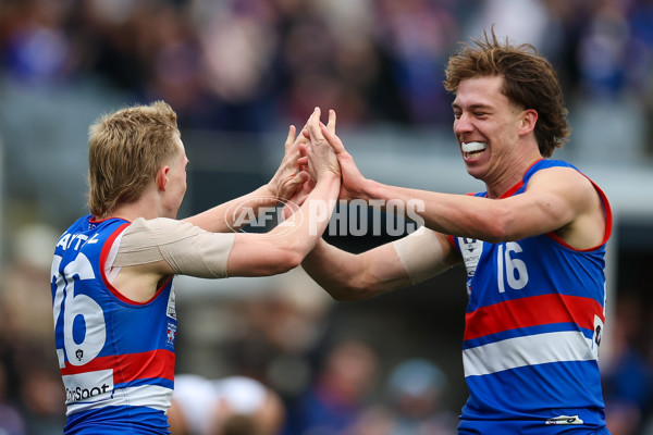 VFL 2025 Grand Final - Footscray Bulldogs v Southport - A-62999563