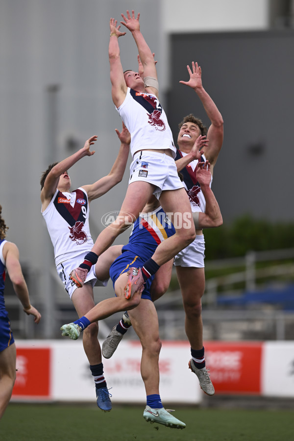 Coates League Boys 2025 Grand Final - Eastern Ranges v Sandringham Dragons - A-63000735