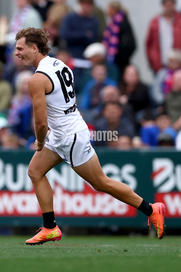 VFL 2025 Grand Final - Footscray Bulldogs v Southport - A-63002349