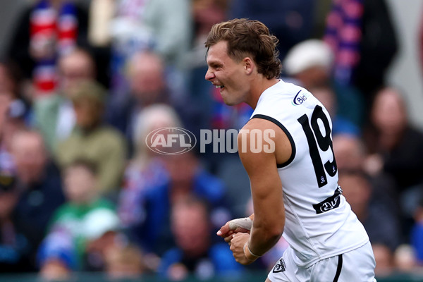 VFL 2025 Grand Final - Footscray Bulldogs v Southport - A-63002351