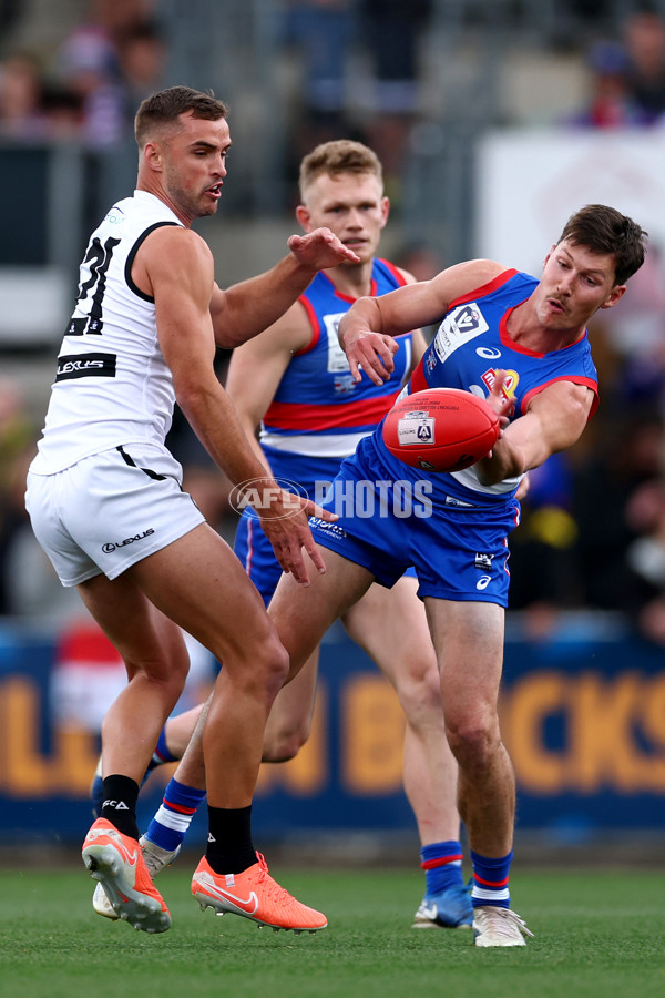 VFL 2025 Grand Final - Footscray Bulldogs v Southport - A-63003339