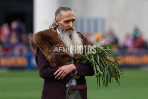 VFL 2025 Grand Final - Footscray Bulldogs v Southport - A-63005109