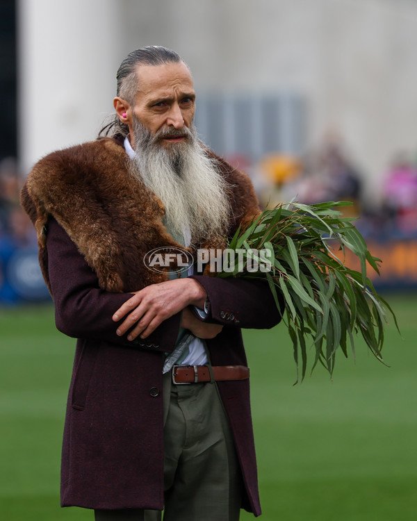 VFL 2025 Grand Final - Footscray Bulldogs v Southport - A-63007942