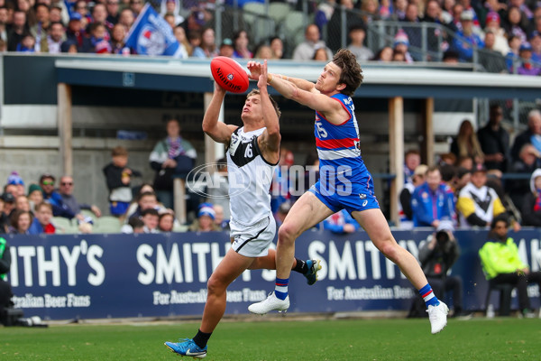 VFL 2025 Grand Final - Footscray Bulldogs v Southport - A-63007985