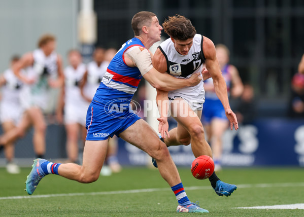 VFL 2025 Grand Final - Footscray Bulldogs v Southport - A-63007987