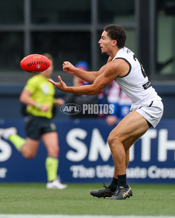 VFL 2025 Grand Final - Footscray Bulldogs v Southport - A-63007988