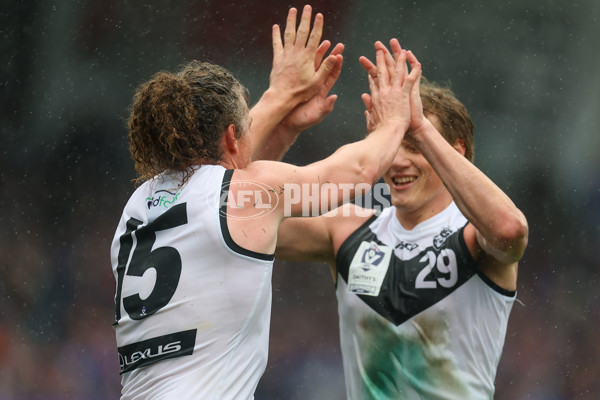VFL 2025 Grand Final - Footscray Bulldogs v Southport - A-63008032