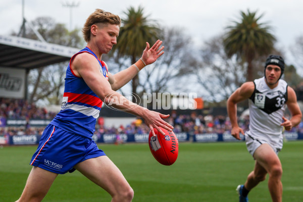 VFL 2025 Grand Final - Footscray Bulldogs v Southport - A-63008447