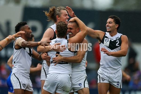 VFL 2025 Grand Final - Footscray Bulldogs v Southport - A-63008503