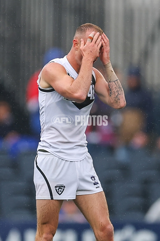 VFL 2025 Grand Final - Footscray Bulldogs v Southport - A-63008510