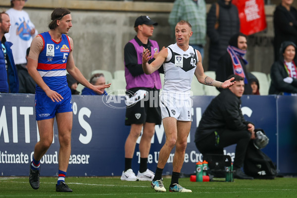 VFL 2025 Grand Final - Footscray Bulldogs v Southport - A-63008512