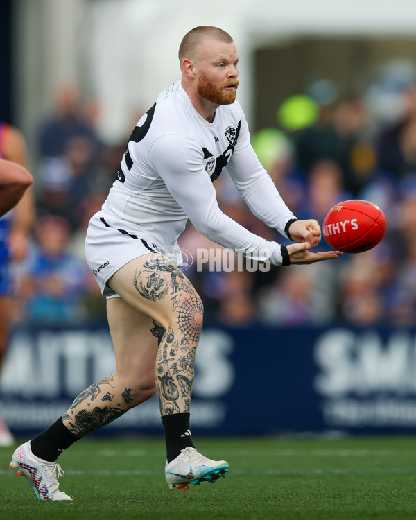 VFL 2025 Grand Final - Footscray Bulldogs v Southport - A-63008539