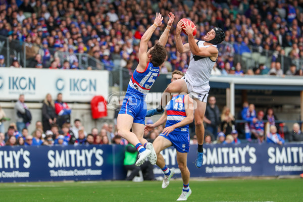 VFL 2025 Grand Final - Footscray Bulldogs v Southport - A-63008541