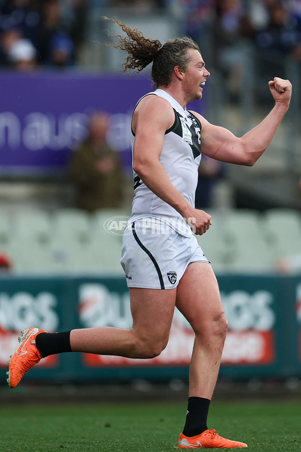 VFL 2025 Grand Final - Footscray Bulldogs v Southport - A-63010474