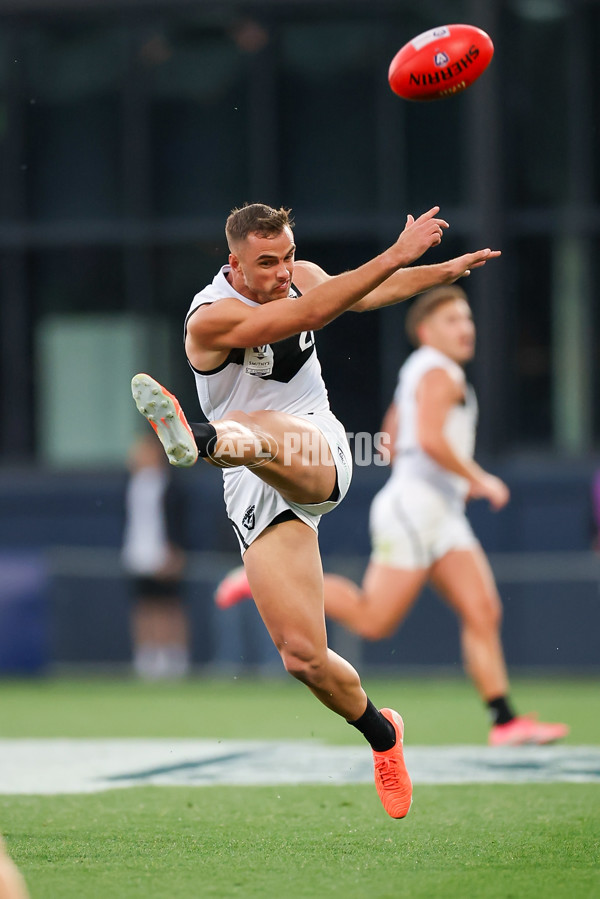VFL 2025 Grand Final - Footscray Bulldogs v Southport - A-63010476
