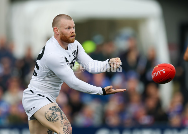VFL 2025 Grand Final - Footscray Bulldogs v Southport - A-63010486