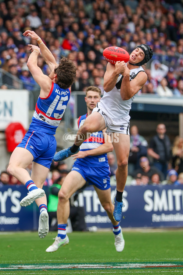 VFL 2025 Grand Final - Footscray Bulldogs v Southport - A-63010488