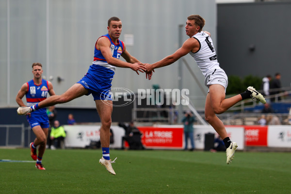 VFL 2025 Grand Final - Footscray Bulldogs v Southport - A-63010493
