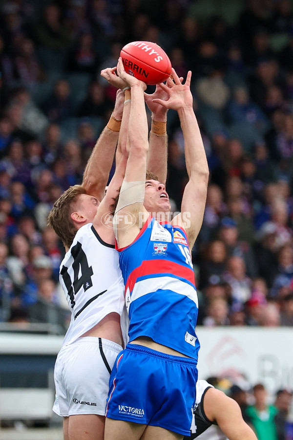 VFL 2025 Grand Final - Footscray Bulldogs v Southport - A-63010514