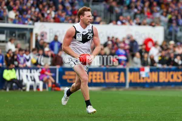 VFL 2025 Grand Final - Footscray Bulldogs v Southport - A-63010526