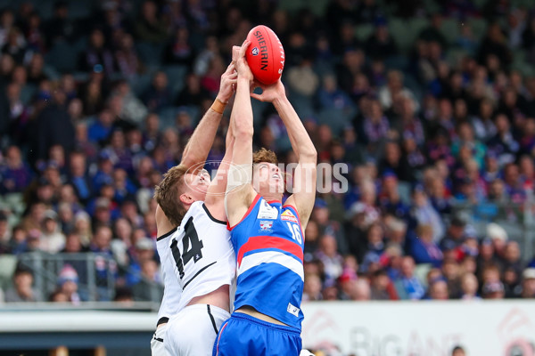 VFL 2025 Grand Final - Footscray Bulldogs v Southport - A-63010985