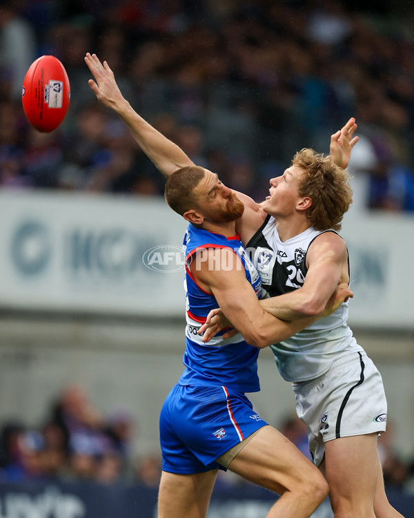 VFL 2025 Grand Final - Footscray Bulldogs v Southport - A-63011043