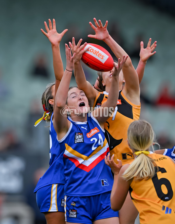 Coates League Girls 2025 Grand Final - Eastern Ranges v Dandenong Stingrays - A-63013996