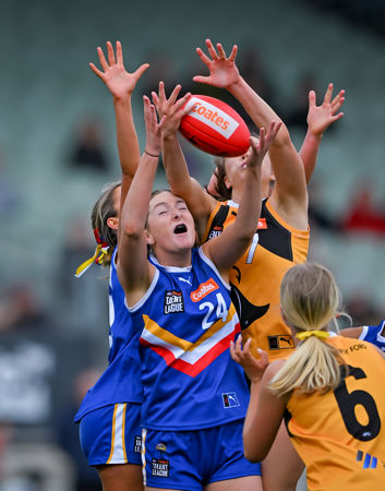 1613 CLGGFERDS200925JS.jpg