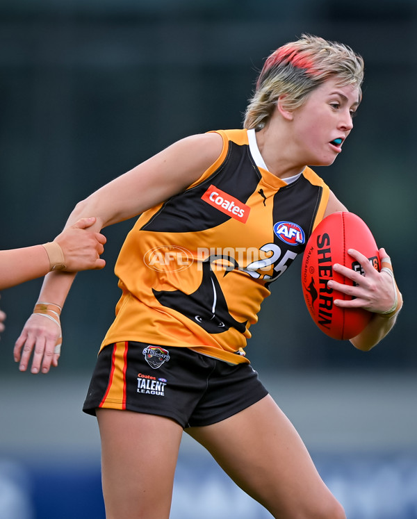 Coates League Girls 2025 Grand Final - Eastern Ranges v Dandenong Stingrays - A-63013999
