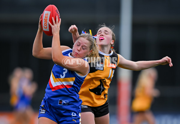 Coates League Girls 2025 Grand Final - Eastern Ranges v Dandenong Stingrays - A-63014000