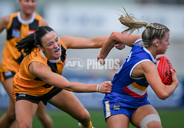 Coates League Girls 2025 Grand Final - Eastern Ranges v Dandenong Stingrays - A-63015930