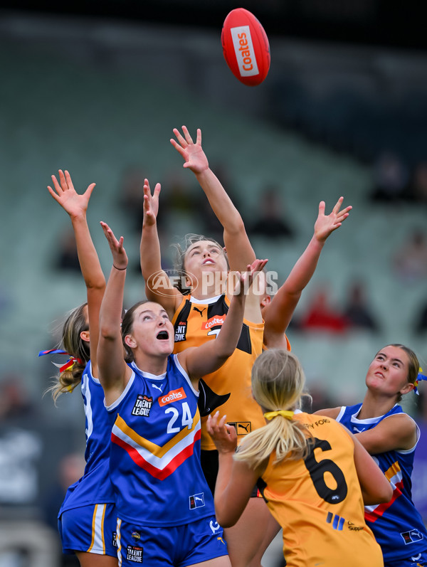Coates League Girls 2025 Grand Final - Eastern Ranges v Dandenong Stingrays - A-63015932