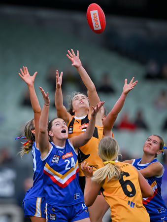 1612 CLGGFERDS200925JS.jpg