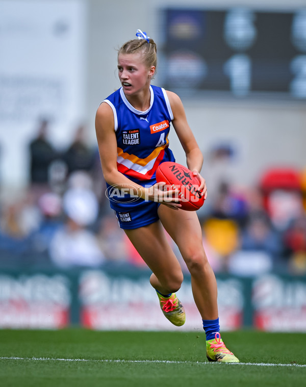 Coates League Girls 2025 Grand Final - Eastern Ranges v Dandenong Stingrays - A-63015933