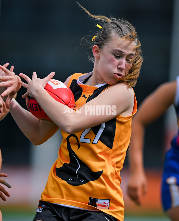 Coates League Girls 2025 Grand Final - Eastern Ranges v Dandenong Stingrays - A-63015938