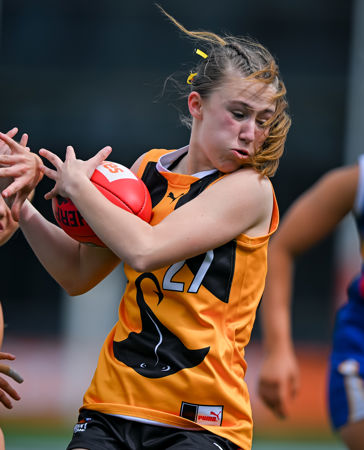 1864 CLGGFERDS200925JS.jpg