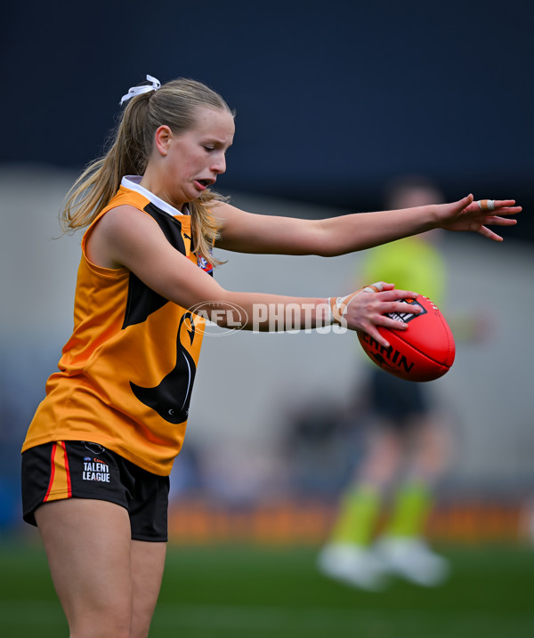 Coates League Girls 2025 Grand Final - Eastern Ranges v Dandenong Stingrays - A-63015941