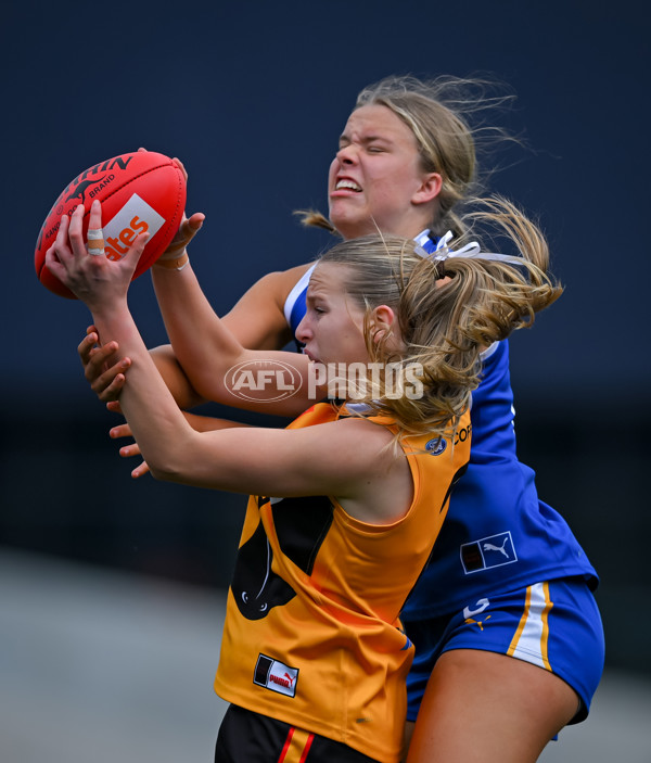 Coates League Girls 2025 Grand Final - Eastern Ranges v Dandenong Stingrays - A-63015942