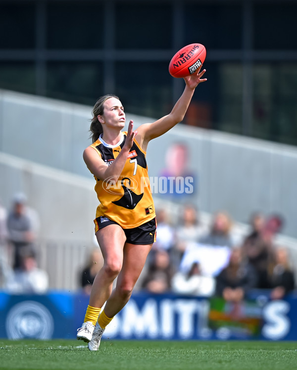 Coates League Girls 2025 Grand Final - Eastern Ranges v Dandenong Stingrays - A-63015948
