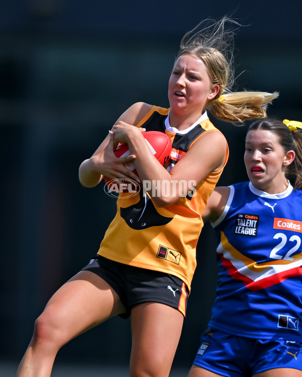 Coates League Girls 2025 Grand Final - Eastern Ranges v Dandenong Stingrays - A-63015959