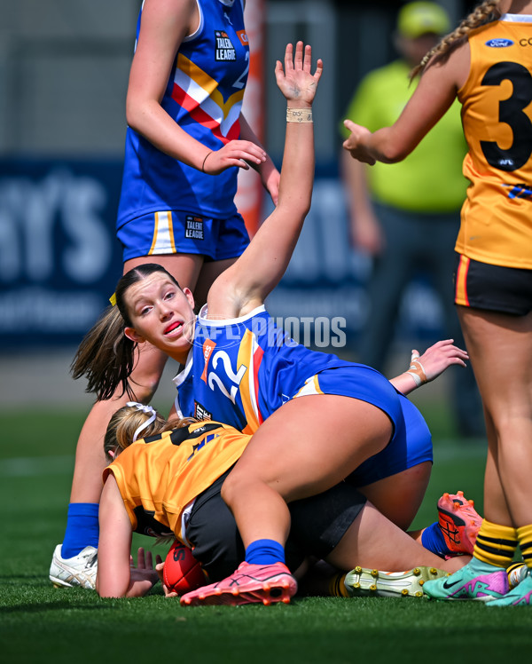 Coates League Girls 2025 Grand Final - Eastern Ranges v Dandenong Stingrays - A-63015961