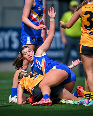 3557 CLGGFERDS200925JS.jpg