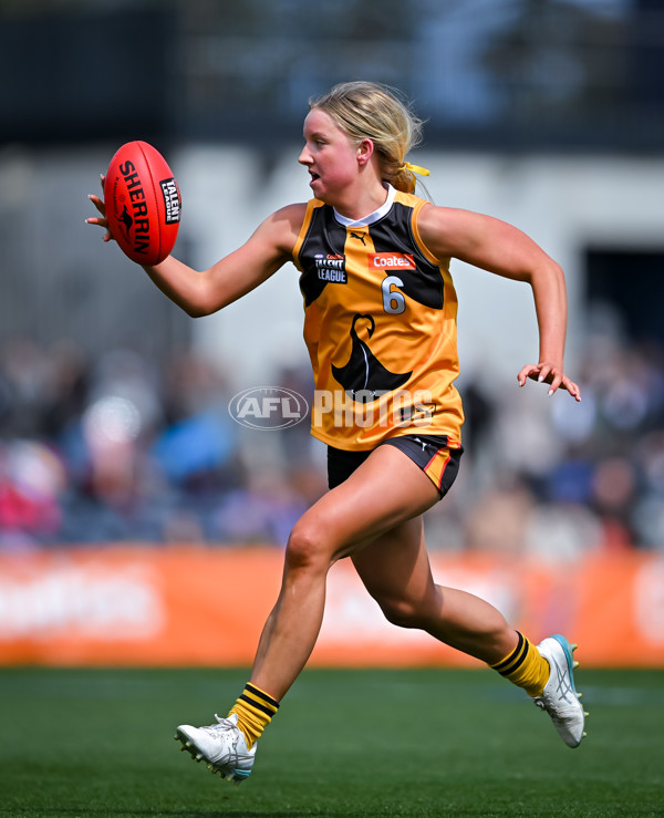 Coates League Girls 2025 Grand Final - Eastern Ranges v Dandenong Stingrays - A-63015967