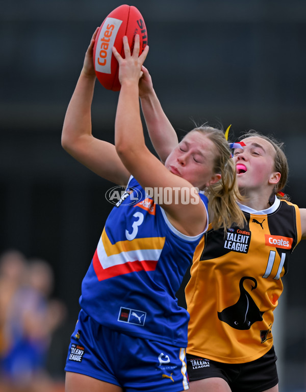 Coates League Girls 2025 Grand Final - Eastern Ranges v Dandenong Stingrays - A-63016429
