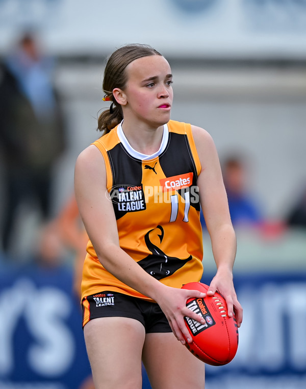 Coates League Girls 2025 Grand Final - Eastern Ranges v Dandenong Stingrays - A-63016431