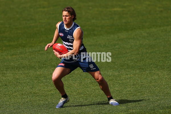 AFL 2025 Training - Geelong 220925 - A-63016510