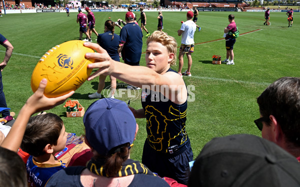 AFL 2025 Training - Brisbane 230925 - A-63042656