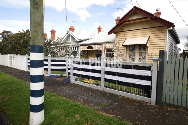 AFL 2025 Media - Geelong Grand Final Colour - A-63049718